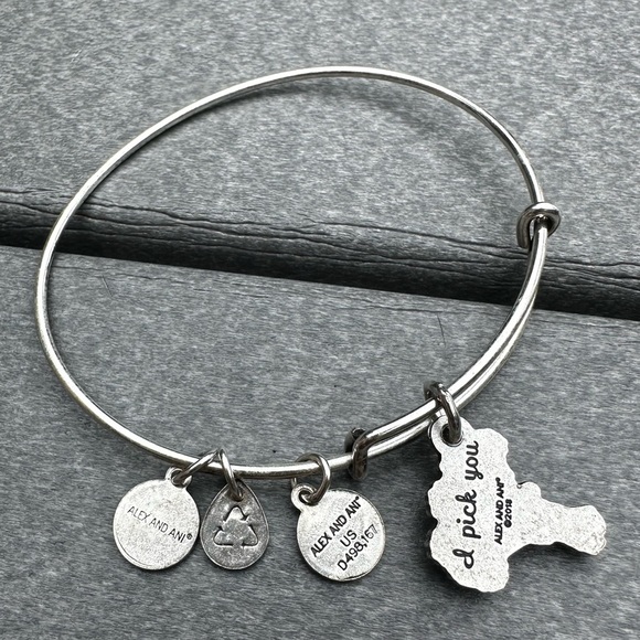 Alex and Ani Silver Charm Bracelet - Picture 2 of 2